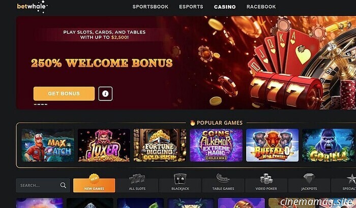 Казино в Канаде с быстрыми выплатами | Казино без KYC с мгновенным выводом для канадских игроков в 2025 году - MovieMaker